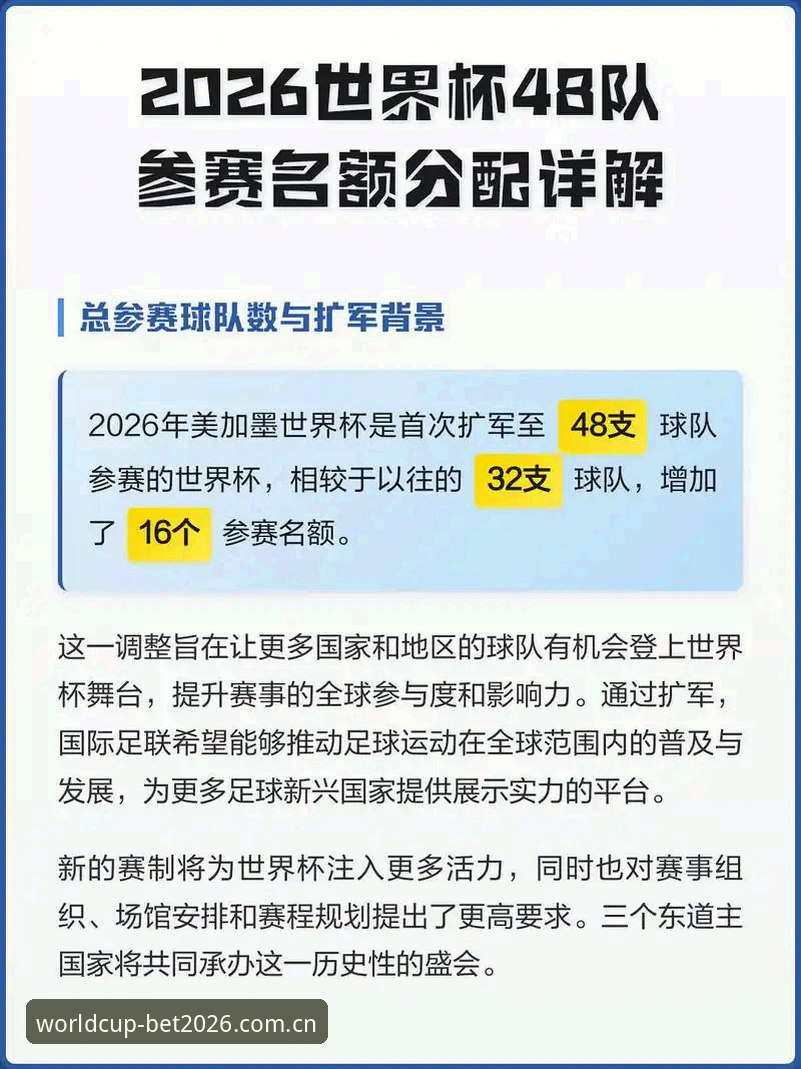 2026世界杯平台实战经验：世足赛安全吗？资深用户教你如何挑选推荐网站